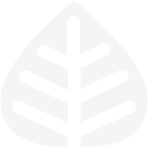 Aspen logo leaf